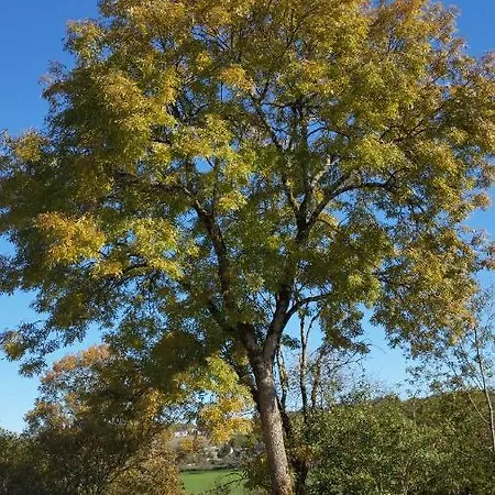 La Mazardie 3* Cubjac