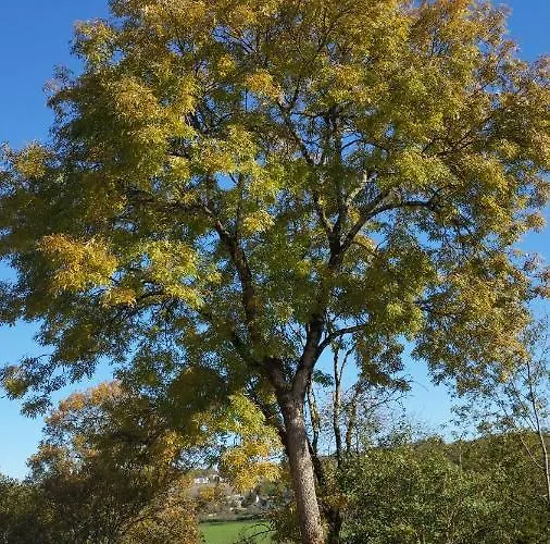 La Mazardie 3* Cubjac